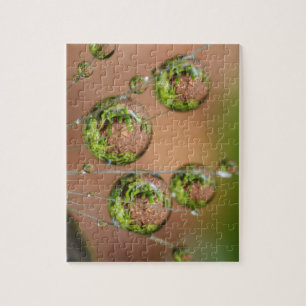 Quebra-cabeça Reflexo da Gota de Água