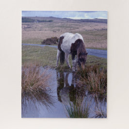 Quebra-cabeça Reflexões do Parque Nacional Pony Dartmoor