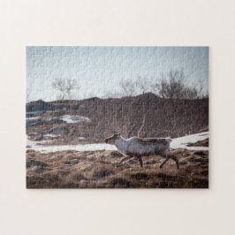 Quebra-cabeça Reindeer Nature Photo