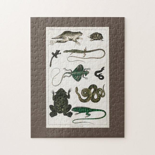 Quebra-cabeça réptil, fofo, lagarto, animal, répteis, tartaruga (Vertical)