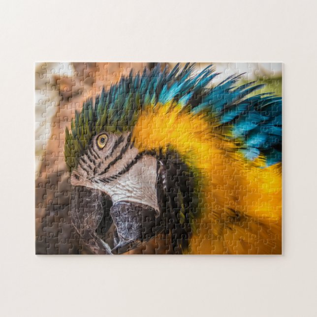 Quebra-cabeça Retrato de arara azul e amarela (Horizontal)