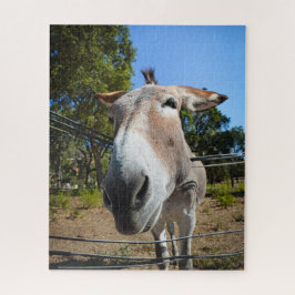Quebra-cabeça Retrato de burro castanho em um dia ensolarado de 