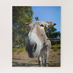 Quebra-cabeça Retrato de burro castanho em um dia ensolarado de