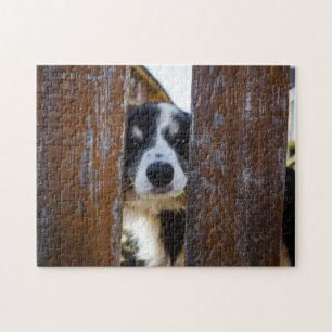 Quebra-cabeça Retrato de cachorro Border Collie fofo