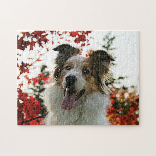 Quebra-cabeça Retrato de Cão-de-Shepherd Australiano (Horizontal)