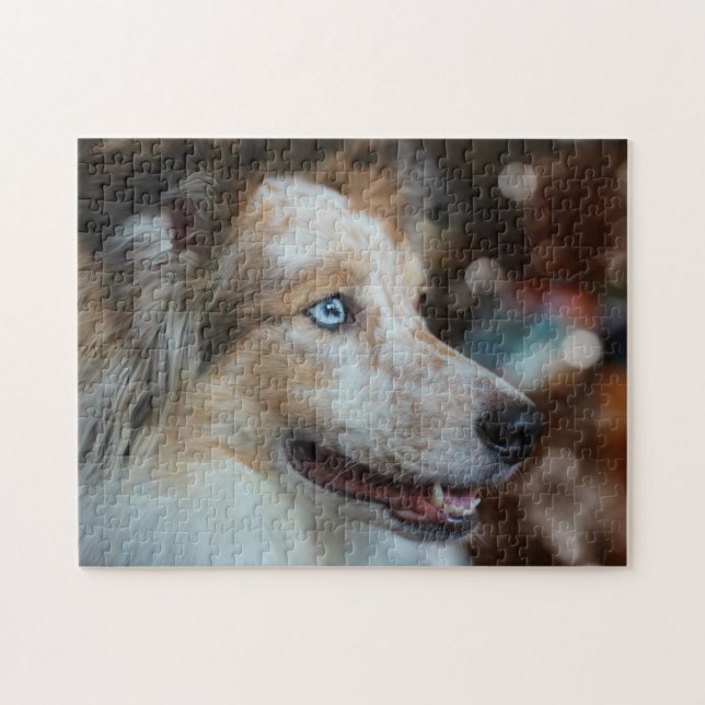 Quebra-cabeça Retrato de Cão-de-Shepherd Australiano (Horizontal)