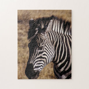 Quebra-cabeça Retrato de encerramento de uma zebra - Zimbabué,