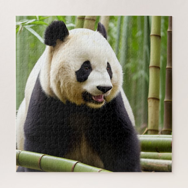 Quebra-cabeça Retrato de Fechamento de um Panda (Vertical)