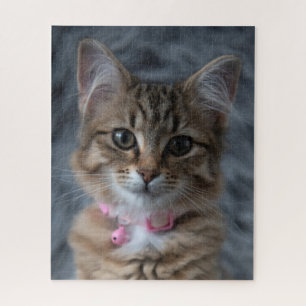 Quebra-cabeça Retrato de gatinho bonito, 520 pedaços