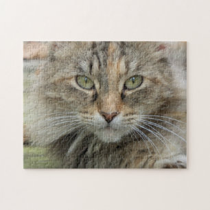 Quebra-cabeça Retrato de Gato Feral Sgolis Difícil