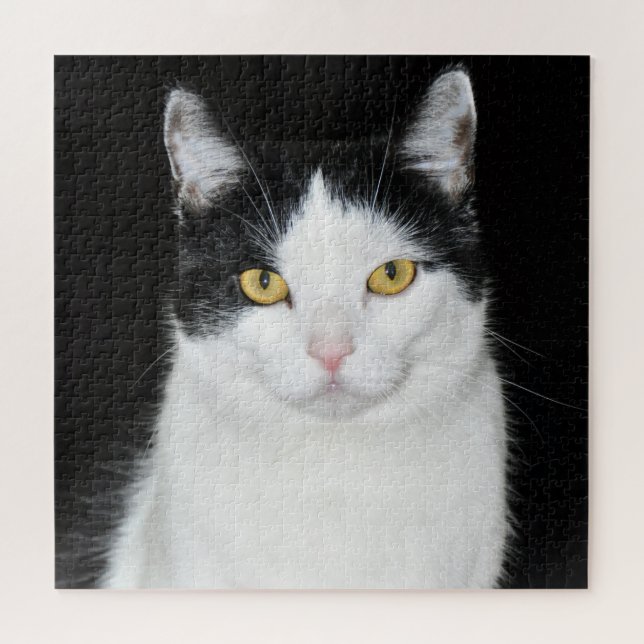 Quebra-cabeça Retrato de Gato Preto e Branco (Horizontal)