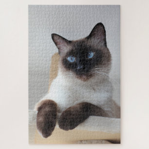 Quebra-cabeça Retrato de Gato Siamês