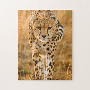 Quebra-cabeça Retrato de Guepardo (Acinonyx Jubatus), Maasai