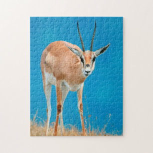 Quebra-cabeça Retrato de Ovelha de Gazela de Grant (Gazella Gran