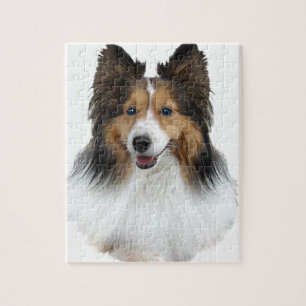 Quebra-cabeça Retrato de Sheltie