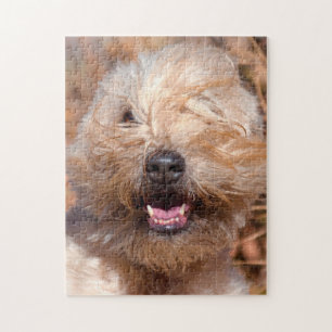 Quebra-cabeça Retrato de Soft Coated Wheaten Terrier