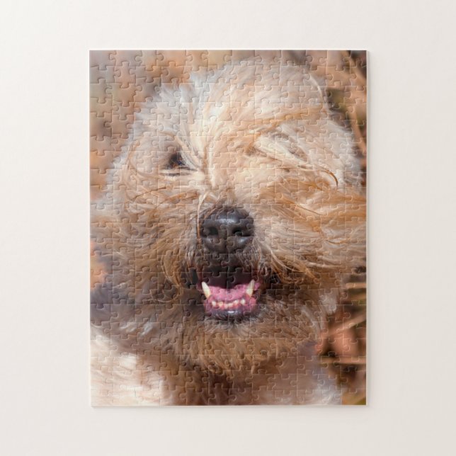 Quebra-cabeça Retrato de Soft Coated Wheaten Terrier (Vertical)