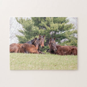Quebra-cabeça Retrato de três cavalos