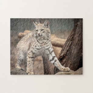 Quebra-cabeça Retrato de um Bobcat