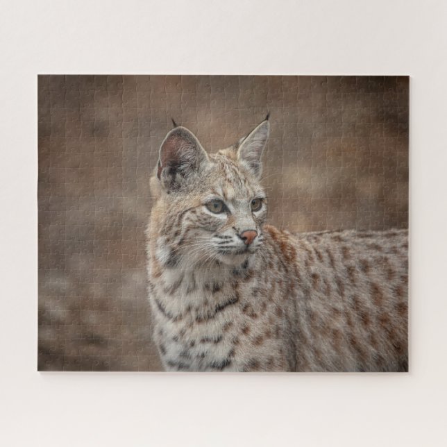Quebra-cabeça Retrato de um Bobcat (Horizontal)