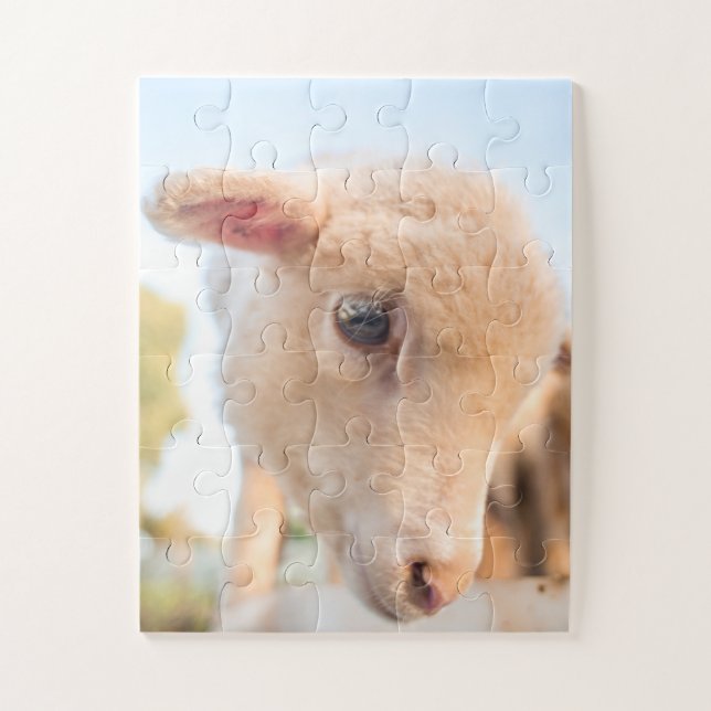 Quebra-cabeça Retrato de um carneiro (Vertical)