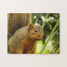 Quebra-cabeça Retrato de um Esquilo Fotografia Animal