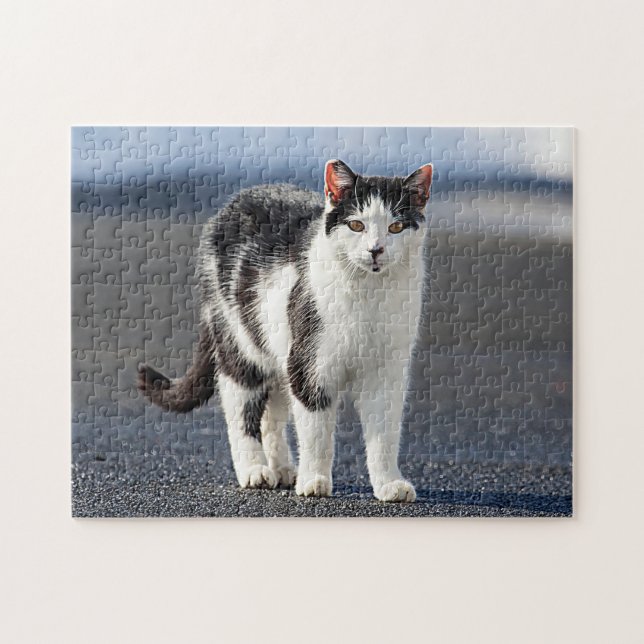 Quebra-cabeça Retrato de um gato (Horizontal)