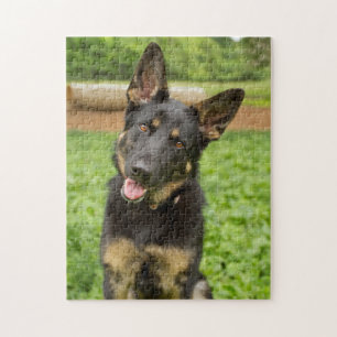 Quebra-cabeça Retrato de um German shepherd