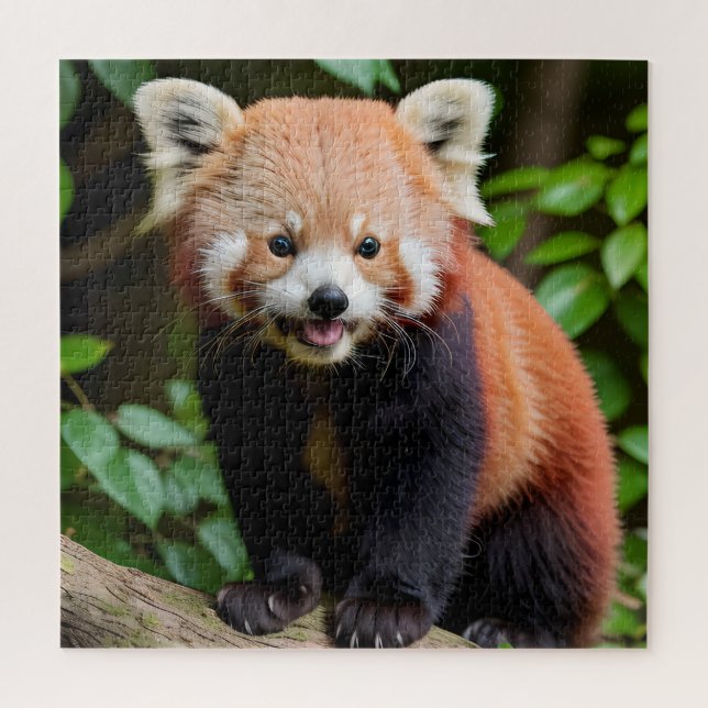 Quebra-cabeça Retrato de um Panda Vermelho Cute (Vertical)