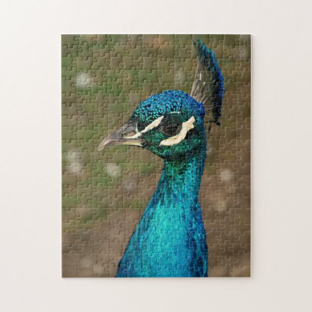 Quebra-cabeça Retrato de um pavão azul (Vertical)