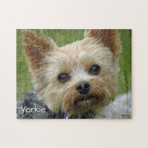 Quebra-cabeça Retrato de um yorkshire terrier