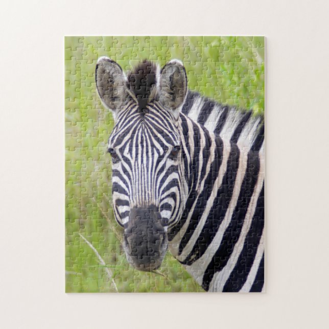 Quebra-cabeça Retrato de Zebra-da-planície, Hluhluwe-Umfolozi Ga (Vertical)