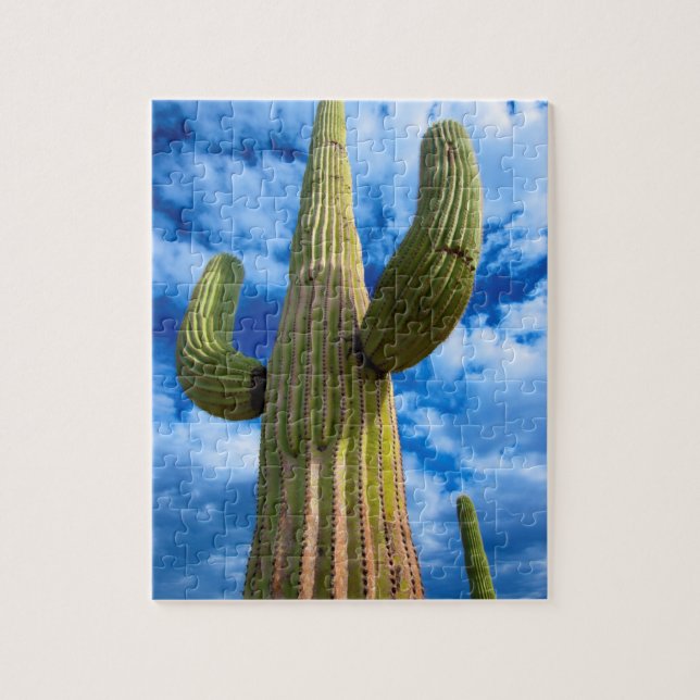 Quebra-cabeça Retrato do cacto Saguaro, Arizona (Vertical)
