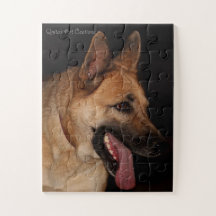 Retrato do german shepherd