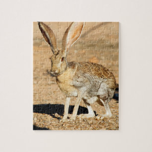 Quebra-cabeça Retrato do lebre-pronghorn, Arizona