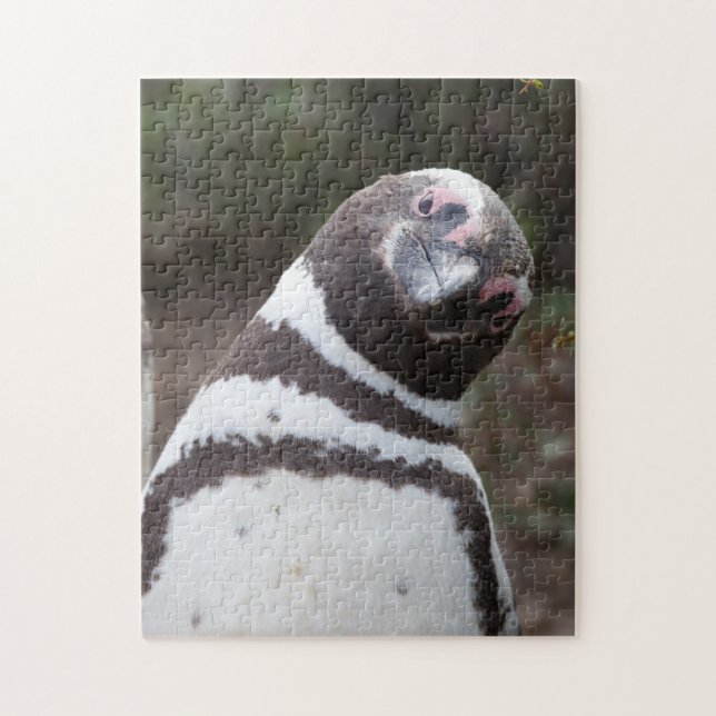 Quebra-cabeça Retrato do pinguim de Magellanic (Vertical)