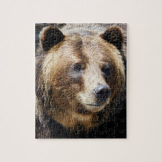 Quebra-cabeça Retrato do Urso Grizzly