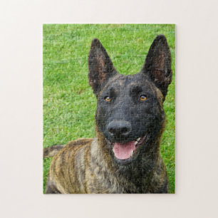 Quebra-cabeça Retrato holandês Shepherd sorridente