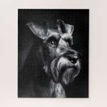 Retrato Monocromático de Schnauzer