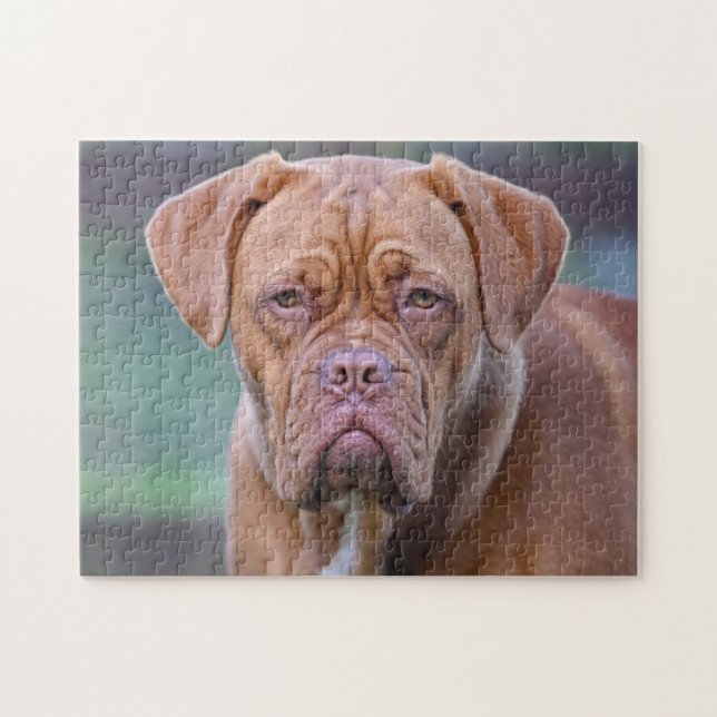 Quebra-cabeça Retrato para cães Dogue de Bordeaux (Horizontal)