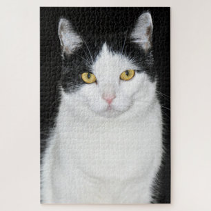 Quebra-cabeça Retrato preto e branco do gato