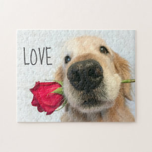 Quebra-cabeça Retriever de ouro com amor de Namorados Rosa verme