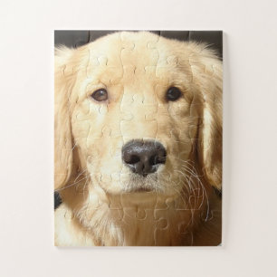 Quebra-cabeça Retriever Dourado