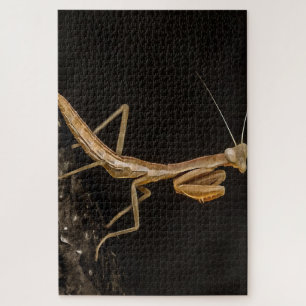 Quebra-cabeça Rezando Mantis, Fofa E Arte Inseta Assustadora