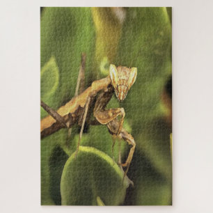 Quebra-cabeça Rezando Mantis Retrait Arte Insetada