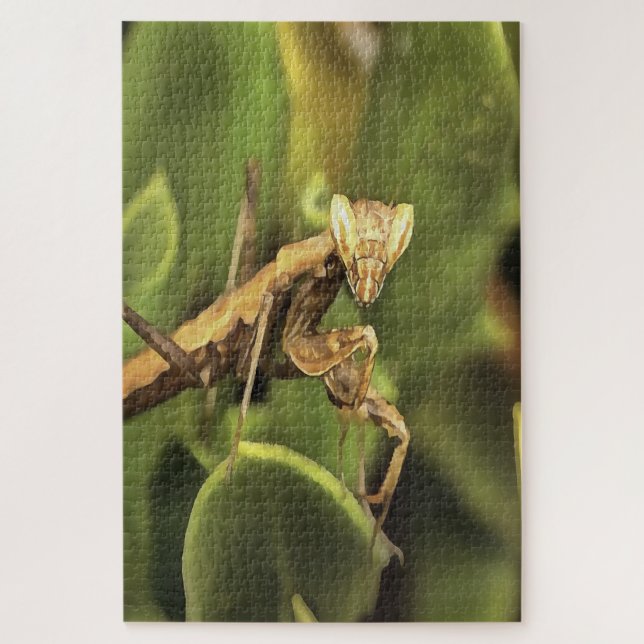 Quebra-cabeça Rezando Mantis Retrait Arte Insetada (Vertical)