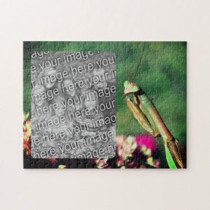 Quebra-cabeça Rezando para Mantis Frame Crie sua própria foto