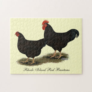 Quebra-cabeça Rhode Island Red Bantams