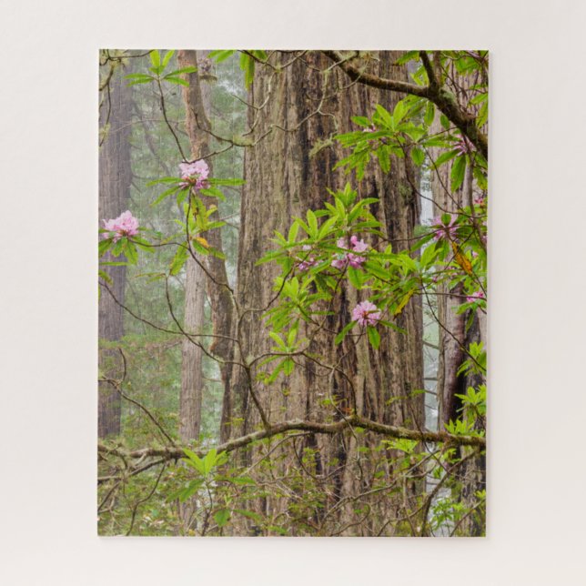 Quebra-cabeça Rhododendrons em Flor | Parque Estadual Redwoods,  (Vertical)