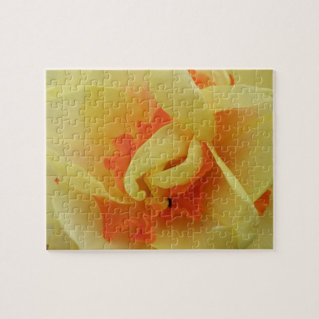 Quebra-cabeça Rico Daffodil (Horizontal)